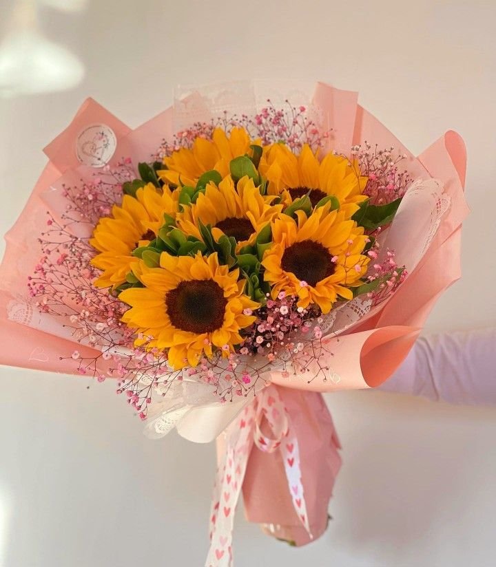 Girasoles